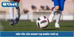 Kèo Tài Xỉu 8XBET Dự Đoán Thú Vị, Cơ Hội Thắng Cao