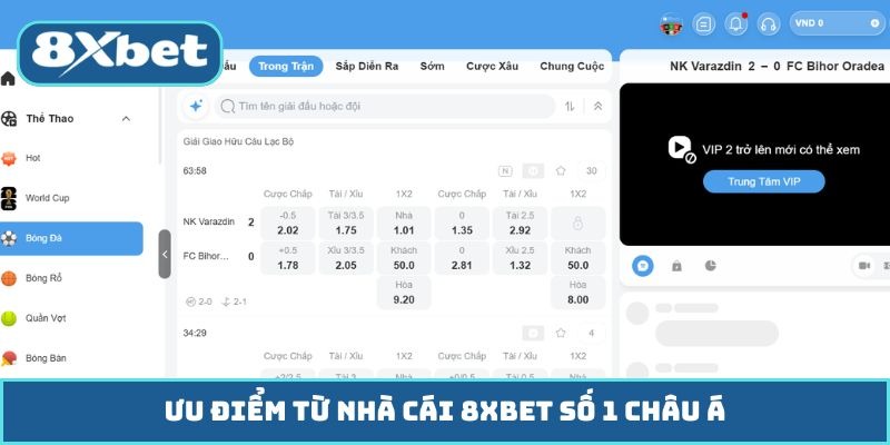 Ưu điểm từ Nhà Cái Số 1 8XBET châu Á