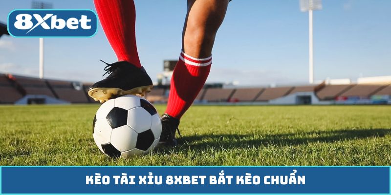 Kèo Tài Xỉu 8XBET Bắt Kèo Chuẩn, Thắng Nhanh